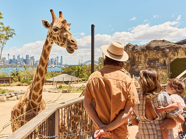 Taronga Zoo in Sydney