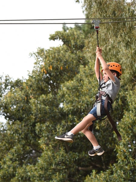 Treeclimb Adelaide SA
