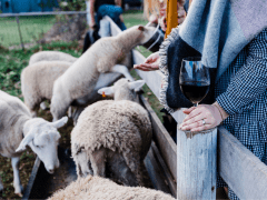 winery kids family hero