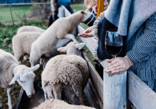 winery kids family hero