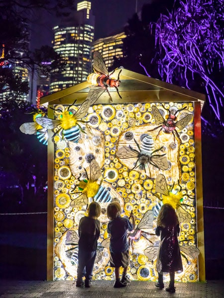 See the lights of Vivid