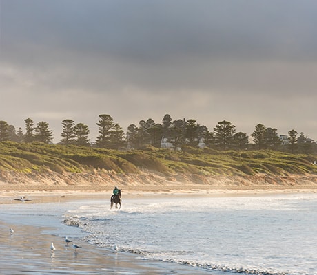 Horse riding Warrnambool, Great Ocean Road, Vic