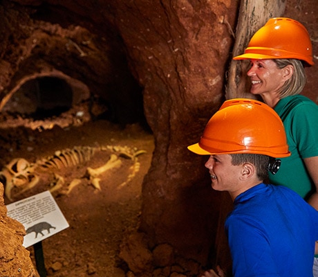 Wellington Caves and Phosphate Mines, Wellington, Dubbo