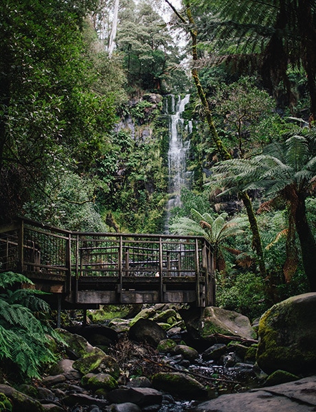 Erskine Falls, Lorne, Vic