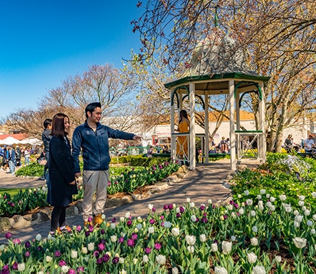 Tulip Time, Bowral, Southern Highlands