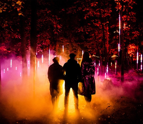 Light Cycles, Winter Festival, Adelaide