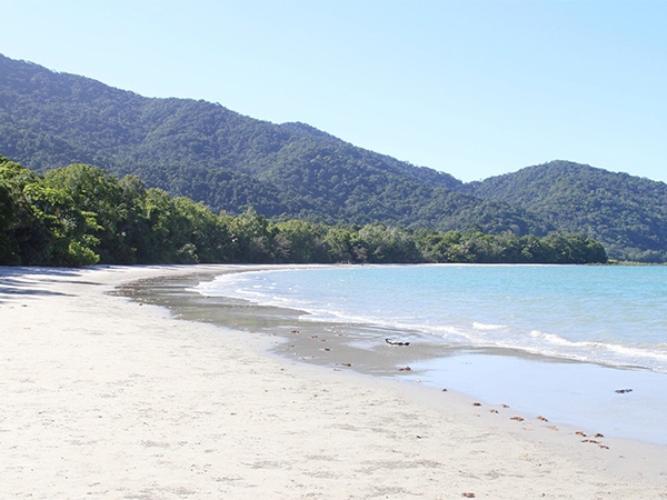 Cape Tribulation.