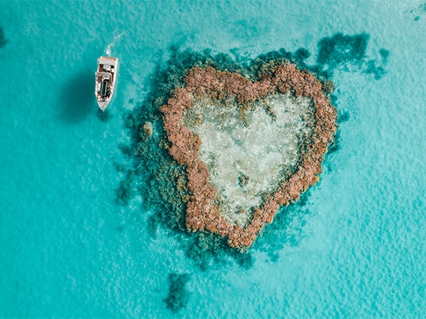 heart reef great barrier reef