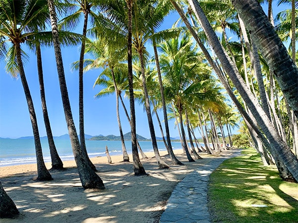 Palm Cove