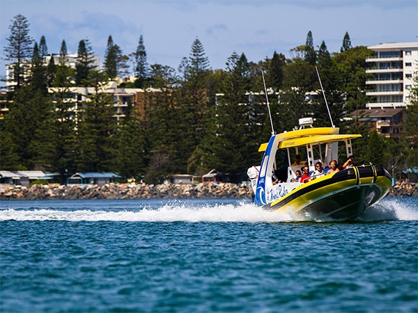 Port Jet whale-watching tour