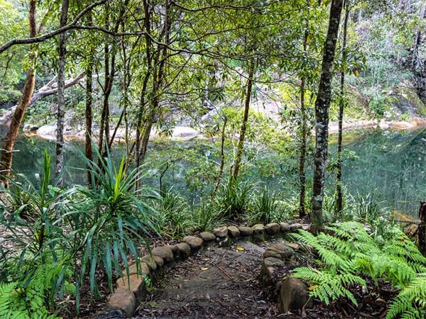 Cobrabald-Wild Bull recreation area nature