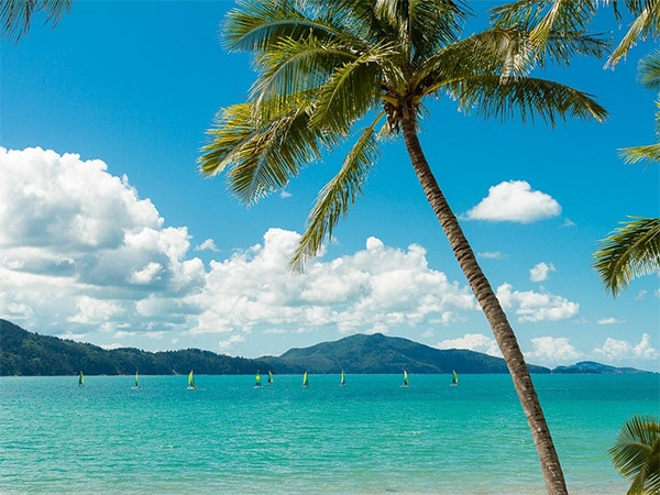 Water activities depend on the tides at Catseye Beach