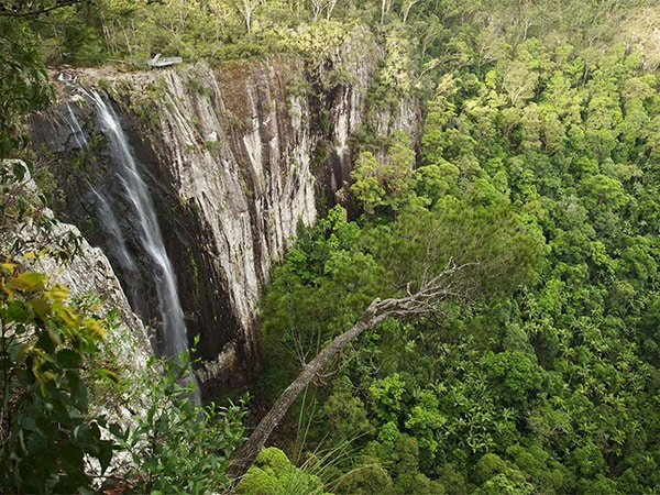 Minyon Falls Walking Track,
