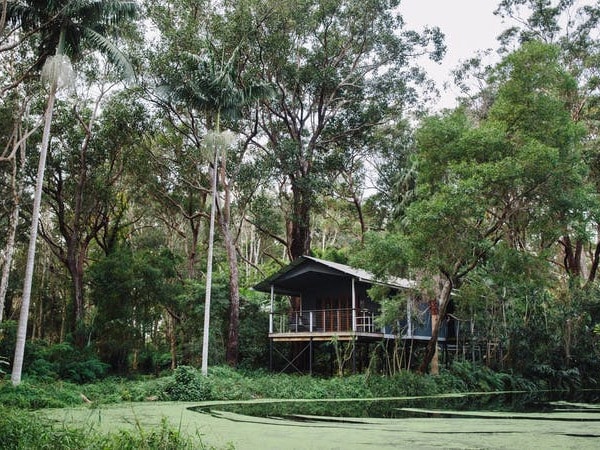 Diamond Waters Treehouse Retreat