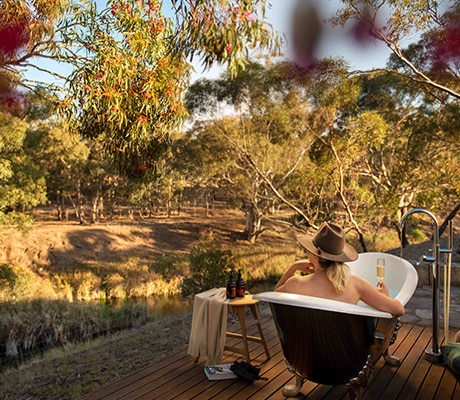 Bush bath, Barossa Valley
