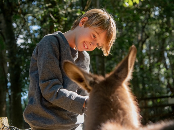 Byron Bay Wildlife Sanctuary