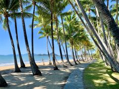 australian traveller cairns