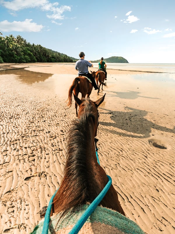 a guided horse ride at Cape Tribulation