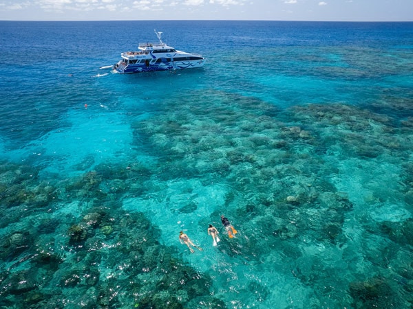 snorkelling with Divers Den at the Great Barrier Reef