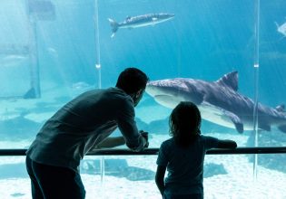 Family seeing sharks at Sea World Gold Coast