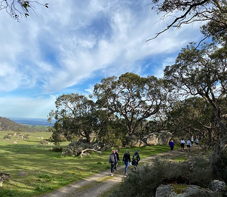 Barossa Wellness, Barossa Valley