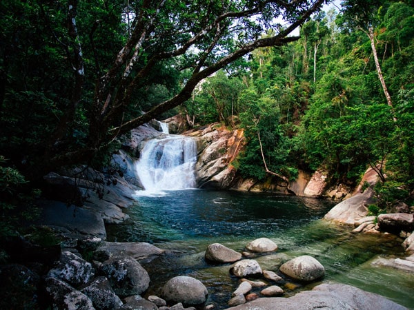 the Josephine Falls in Cairns