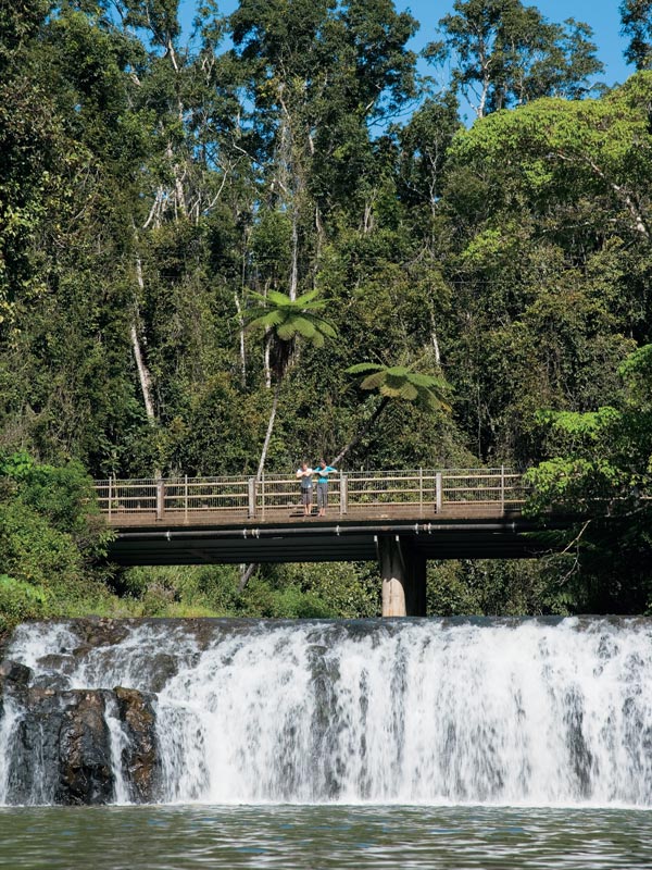 the Malanda Falls in Cairns
