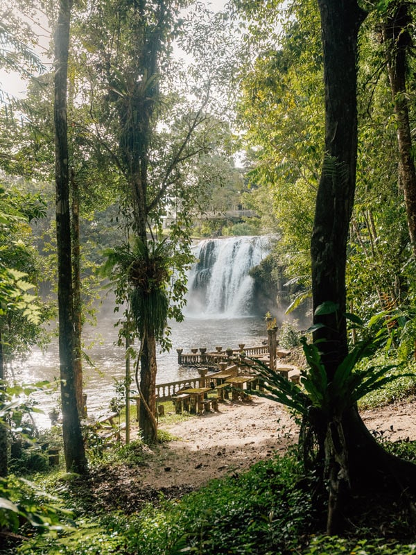 Mena Creek Falls in Paronella Park