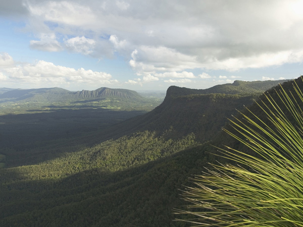 view of the Border Ranges from The Pinnacle lookout