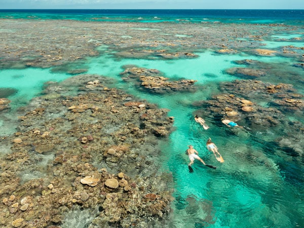 an aerial view of people snorkelling at the Great Barrier Reef with Silverswift