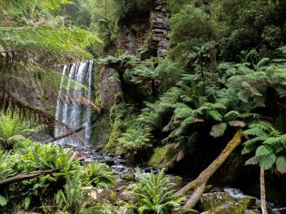 Hopetoun Falls Otways, Great Ocean Road