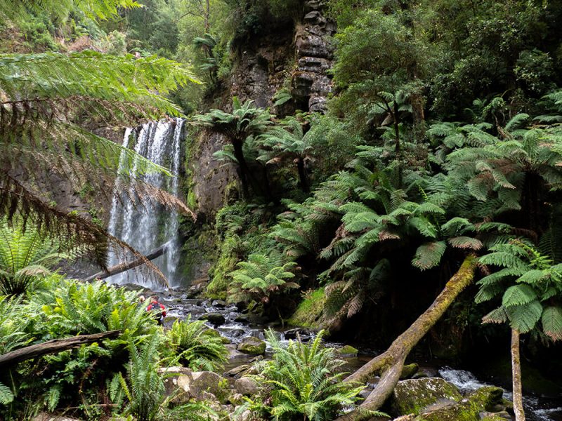 Hopetoun Falls Otways, Great Ocean Road