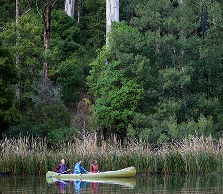 Lake Elizabeth, Great Ocean Road