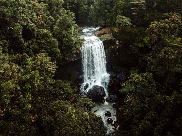 the Zillie Falls in Atherton Tablelands Waterfall Circuit