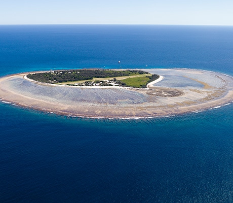 Lady Elliott Island