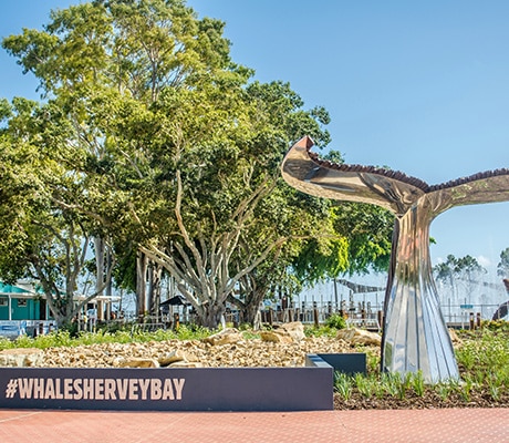 Hervey Bay, Whale Heritage Site
