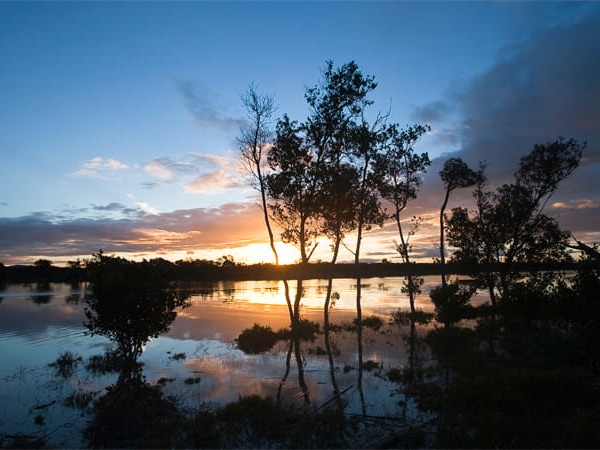 Hunter Wetlands National Park