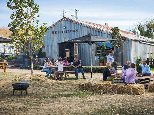 Heifer Station Orange