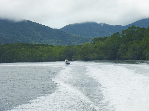 Cairns Croc Spotting Tour.