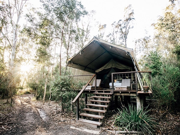 Paperbark Camp.