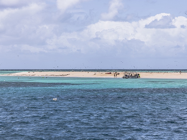 Michaelmas Cay