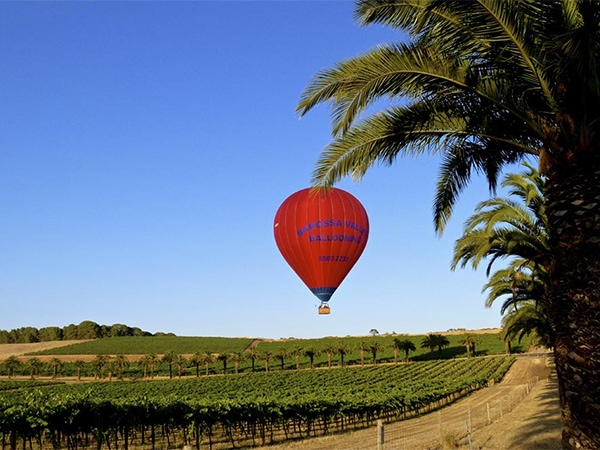 Barossa Valley ballooning