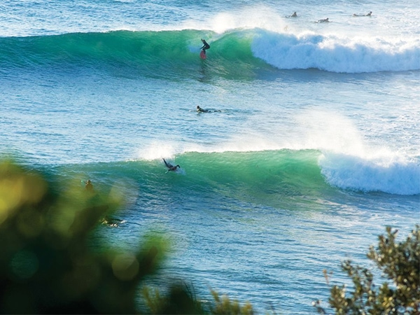 Coffs Harbour surf culture