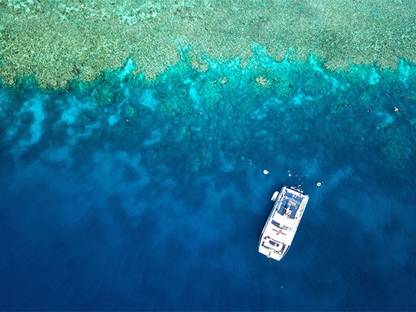Diver’s Den