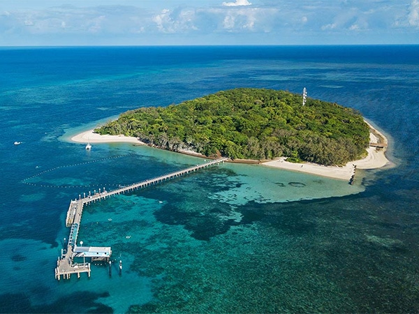 3Green Island