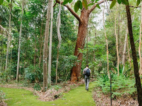 Booderee National Park Botanic Gardens.