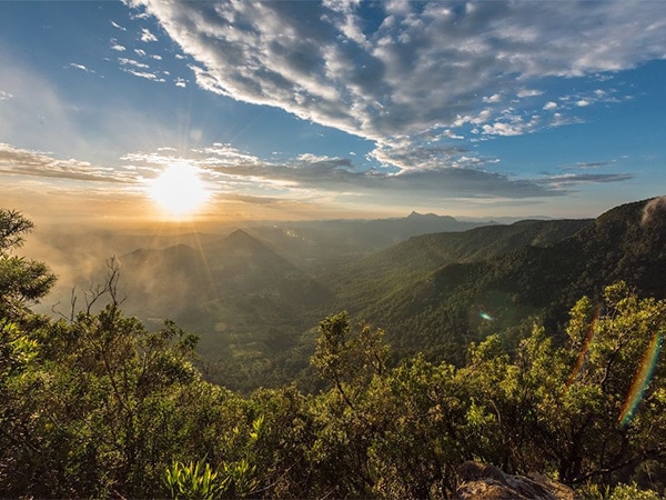 The Best Gold Coast Bush Walks To Uncover