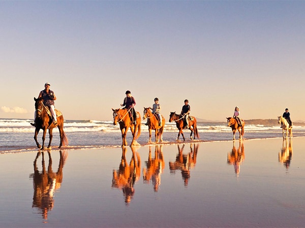 coastline on horseback.