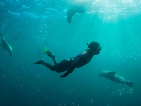 Snorkel Jervis Bay