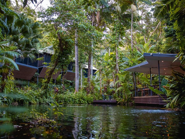 the Daintree Eco Lodge in Queensland